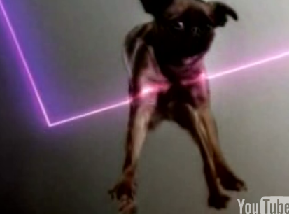Flying Dogs Video